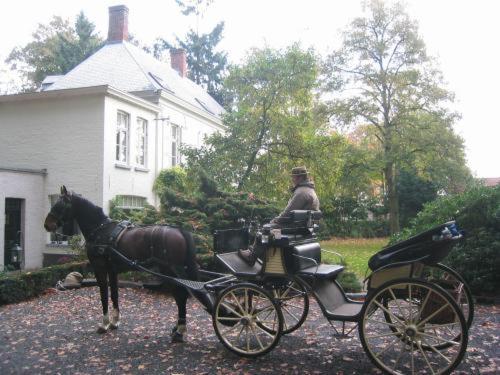 Bed & Breakfast 't Wit Huys Bruges